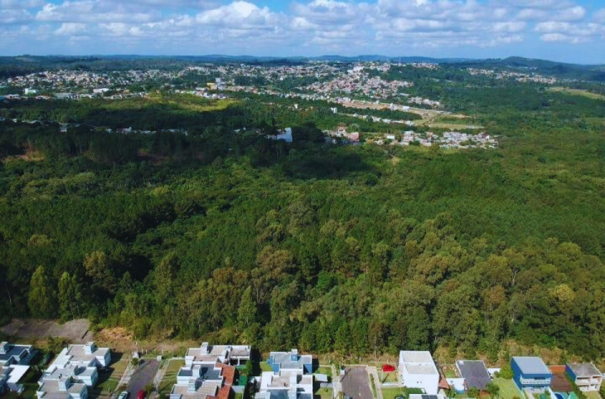 Imagem principal de Usucapião de imóvel em Área de Preservação Permanente (APP)